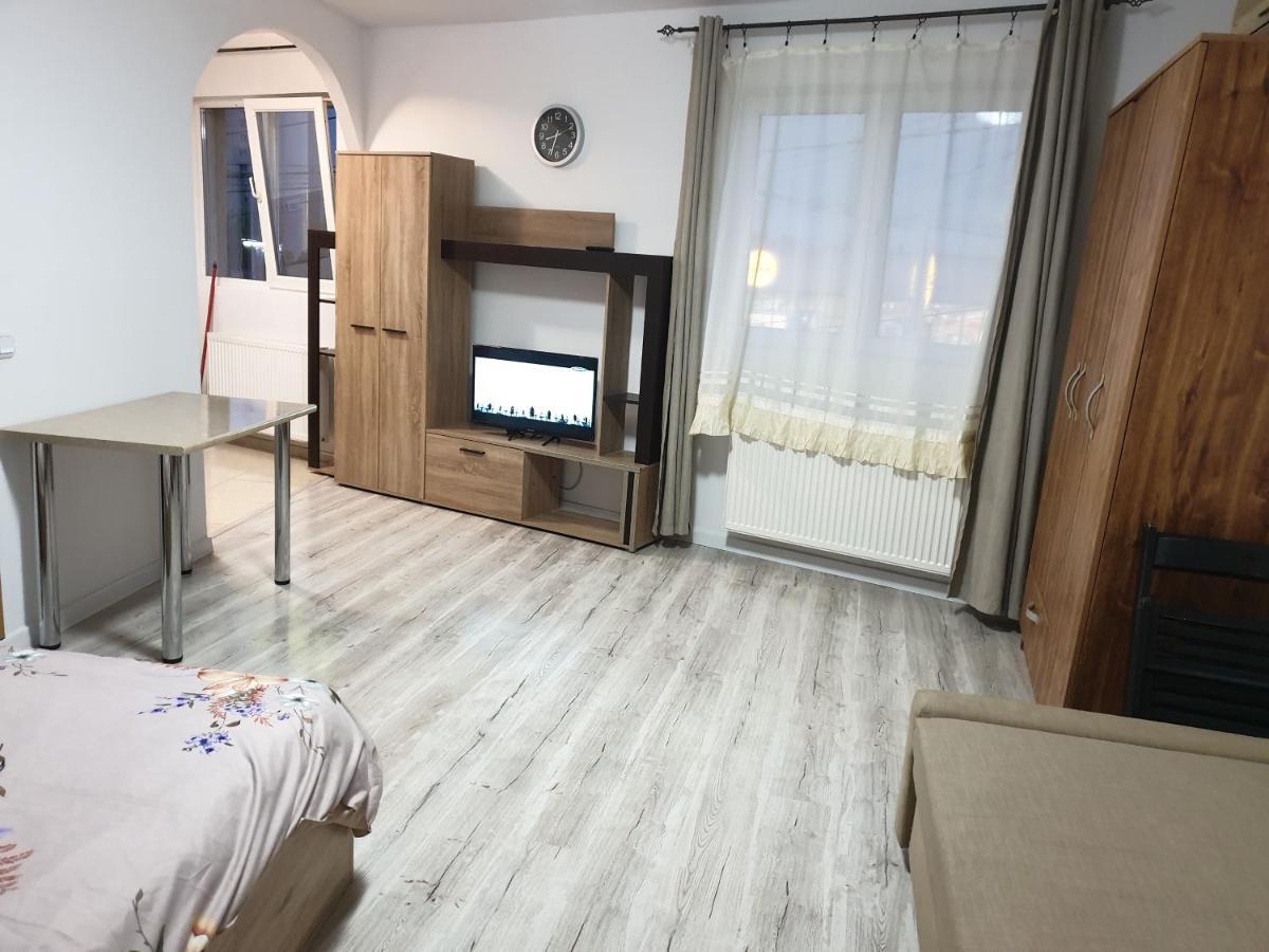 Apartment Garsoniera 2